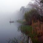 summer morning mist