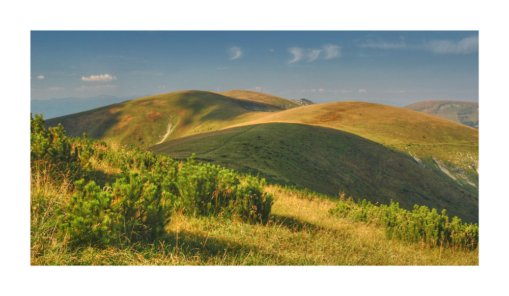 Summer mountains