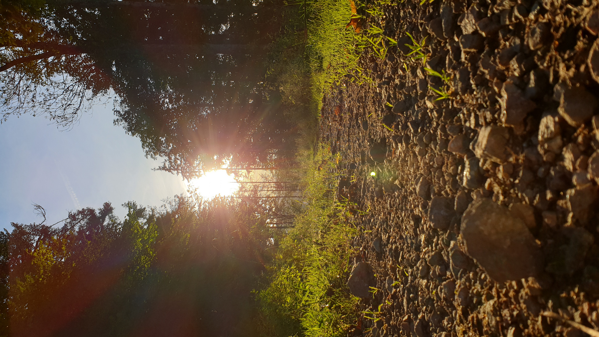 Summer moved on, der Sommer zieht weiter 