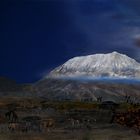 summer night in Kilimanjaro