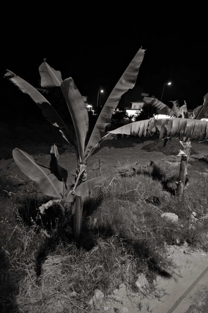 summer night walking