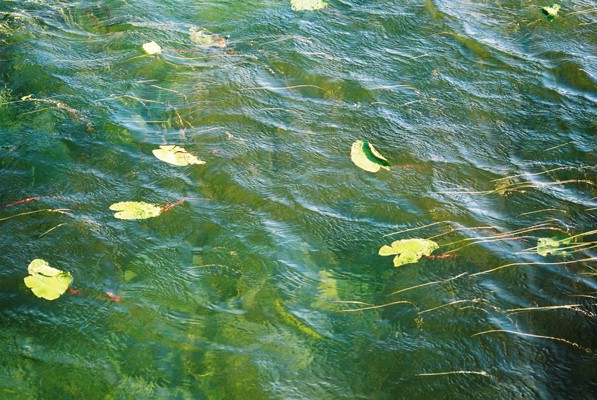 Summer on the Grand Canal