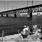 Summer on the Susquehanna - No. 1