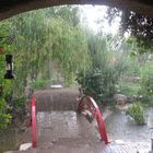 summer rain in marand..