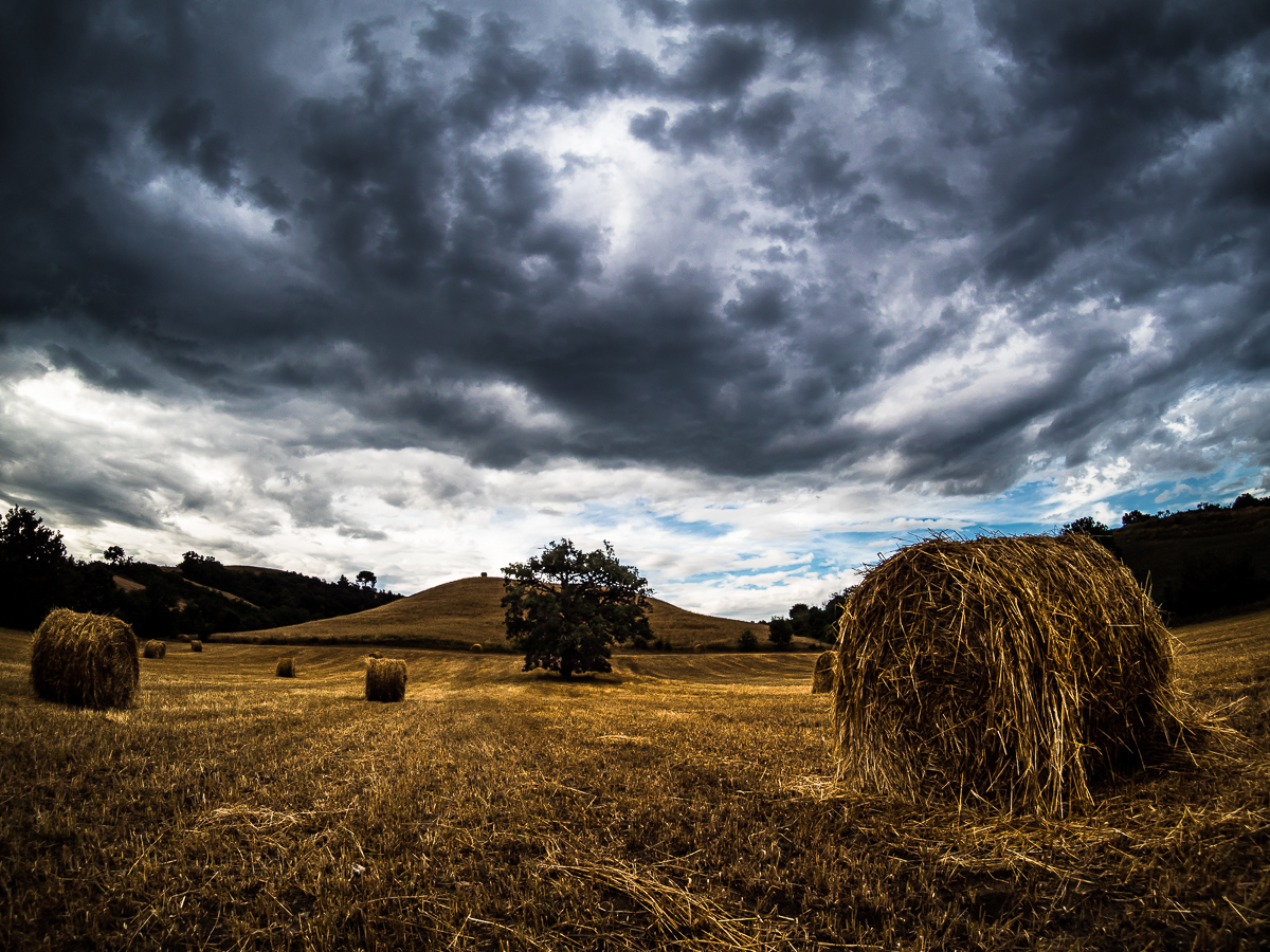 Summer rainstorm