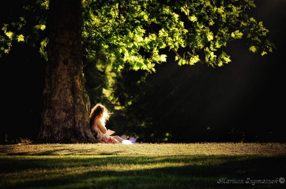 Summer reader