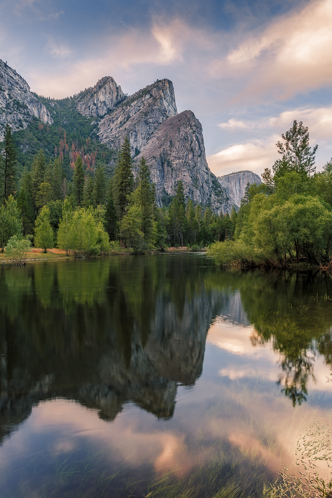 Summer Reflection