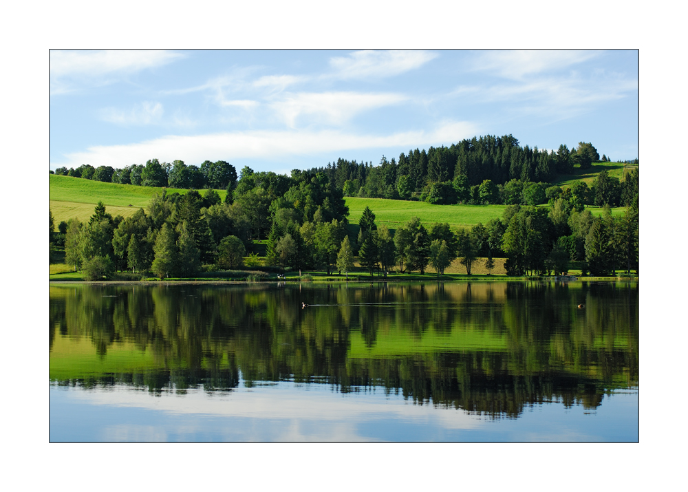 Summer Reflections - Sommerliche Reflektionen