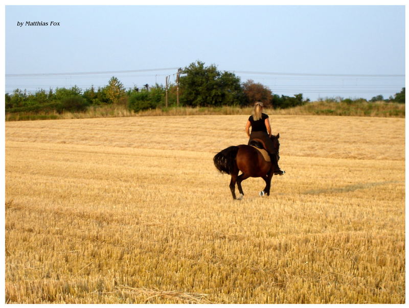 summer riding