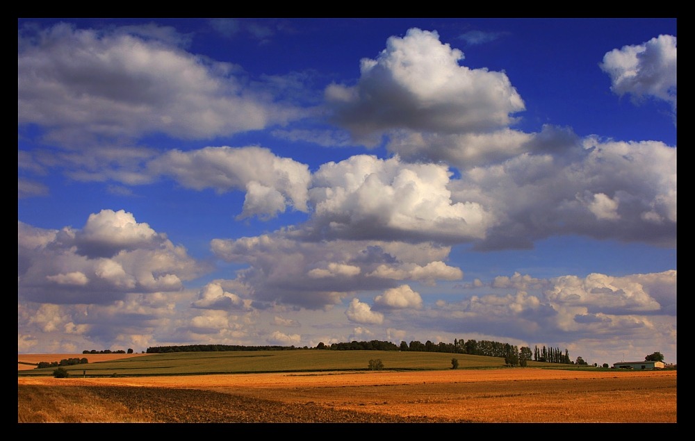 °°° summer sky [3] °°°