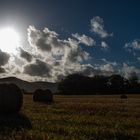 Summer Sky , Autumn Breeze