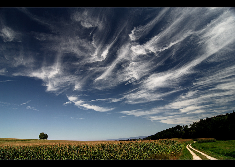 summer-sky II...