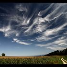 summer-sky II...