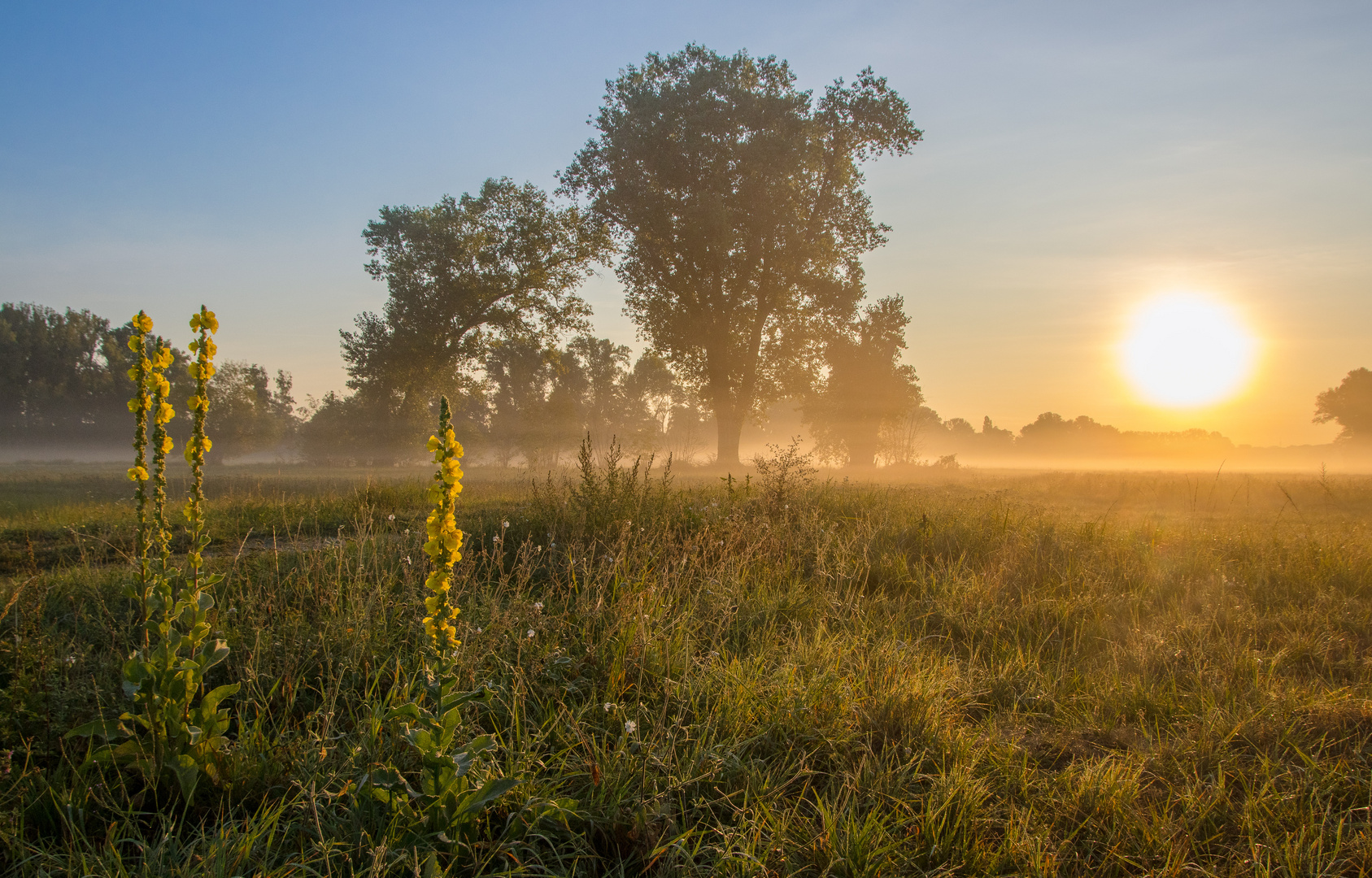 summer sunday morning