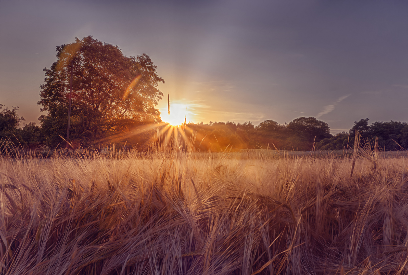 Summer Sunset