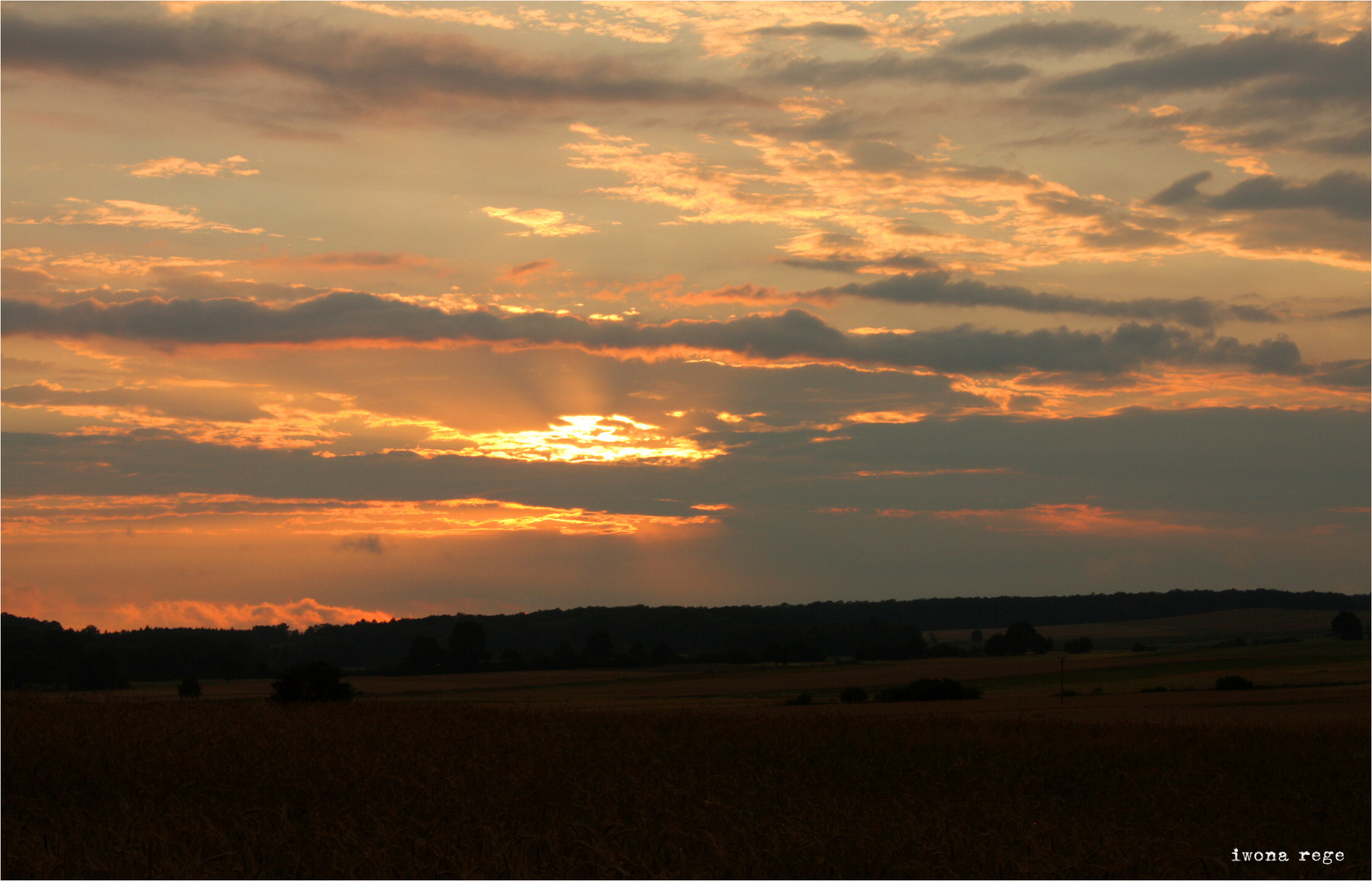 Summer sunset