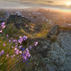 Summer sunset from Salisbury Crags, Edinburgh