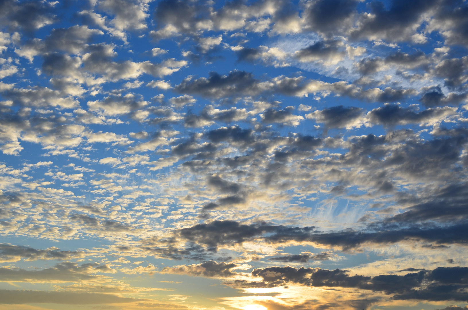 Summer sunset in London