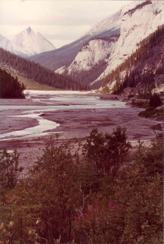 Summer trip in Alberta