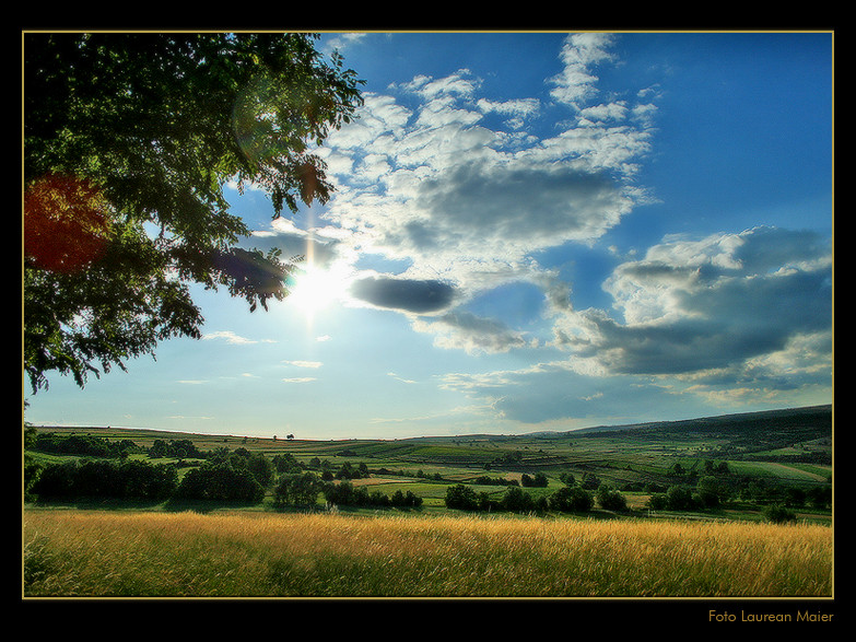 Summer View