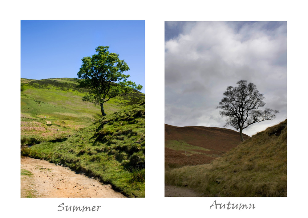 Summer Vs Autumn