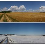 Summer - Winter