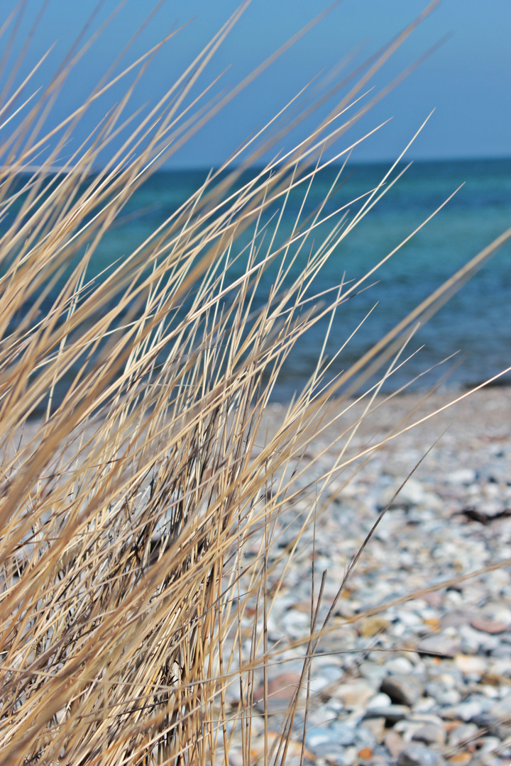 Summerfeeling auf Fehmarn