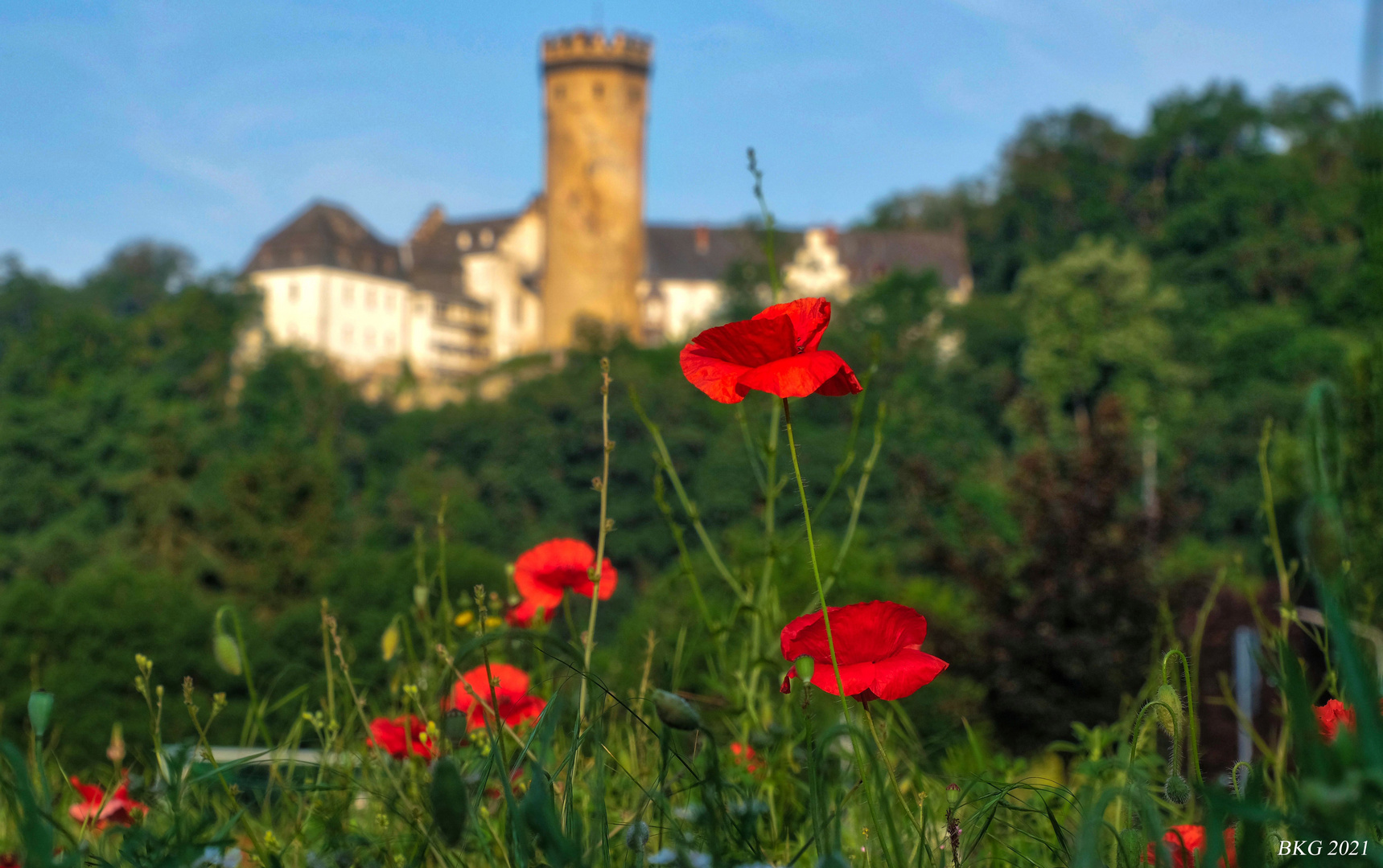 Summerfeeling vor dem Schloss Dehrn 