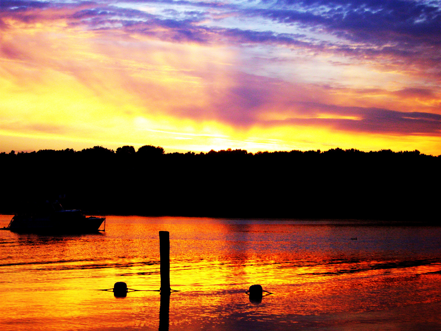 summernight. Foto & Bild | archiv, das perfekte sommernachtsfoto
