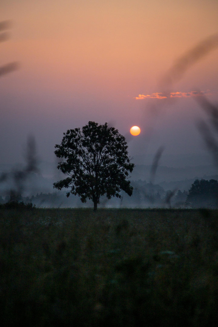 Summer.sunrise.