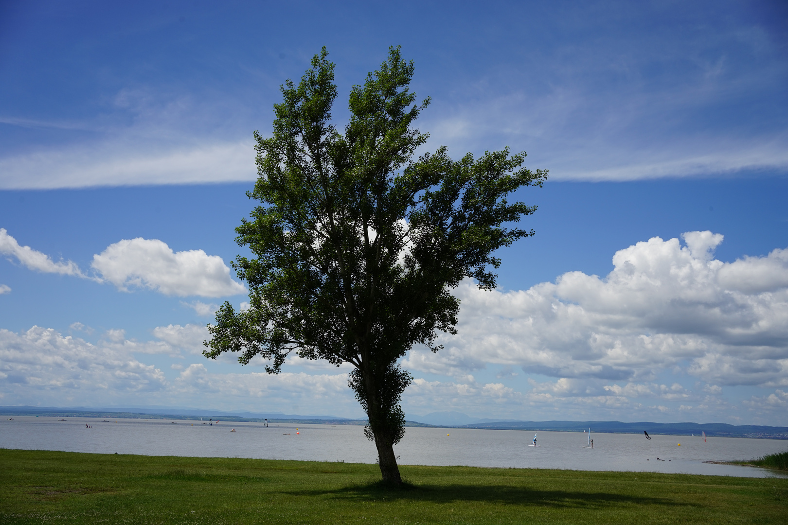 Summertime at Neusiedler See, Austria