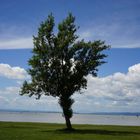 Summertime at Neusiedler See, Austria