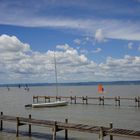 Summertime at Neusiedler See, Austria