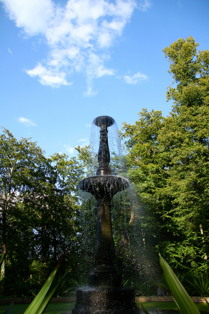 Summertime auf der Pfaueninsel