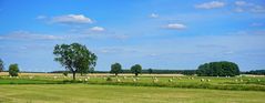 Summertime im Spreewald