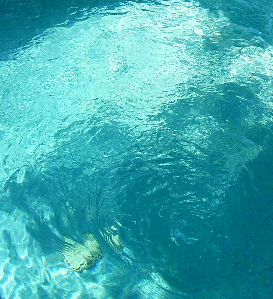 summertime means a pool to landlocked Okies :)