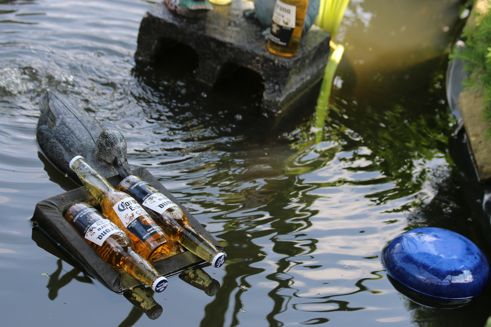 Summertime mit Corona Extra leicht gekühlt