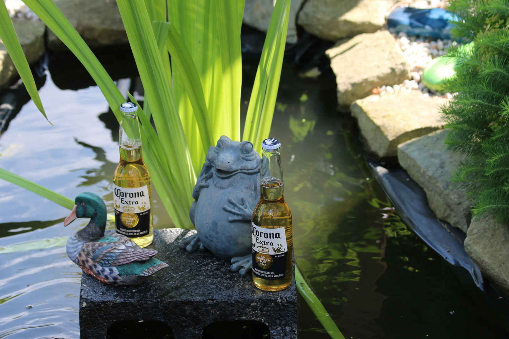 Summertime with Corona Extra