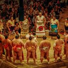 Sumo