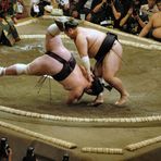 Sumo I