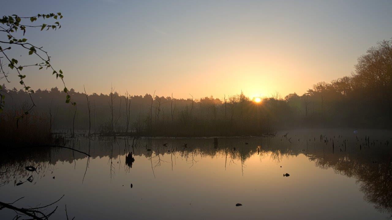 Sumpf im Sonnenaufgang