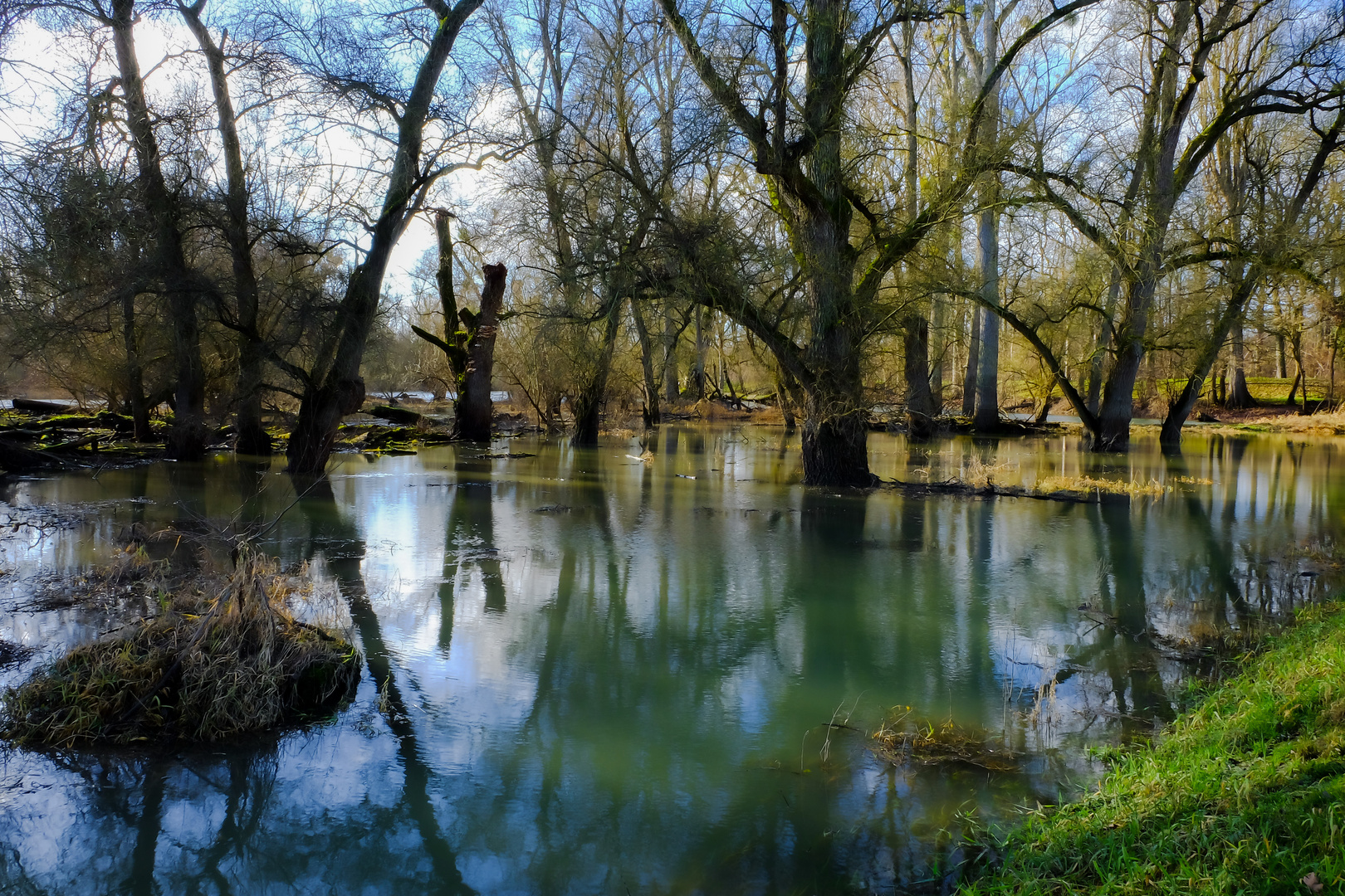 Sumpf in Leimersheim