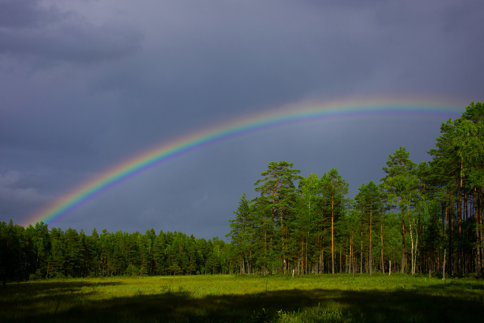 Sumpf Regen Bogen