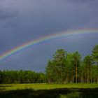 Sumpf Regen Bogen