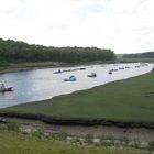 Sumpfgebiet auf Cape Cod