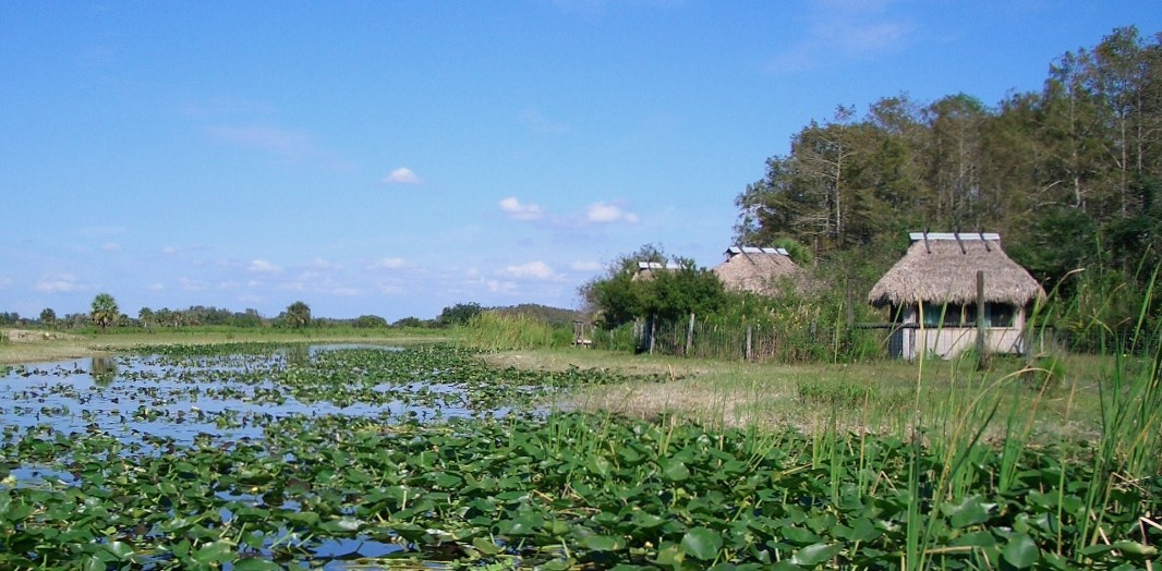 Sumpfgebiet - Florida