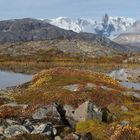 Sumpflandschaft in der Tundra