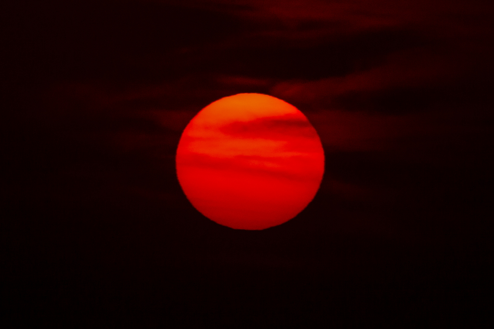 Sun Foto & Bild | nature, red, summer Bilder auf fotocommunity