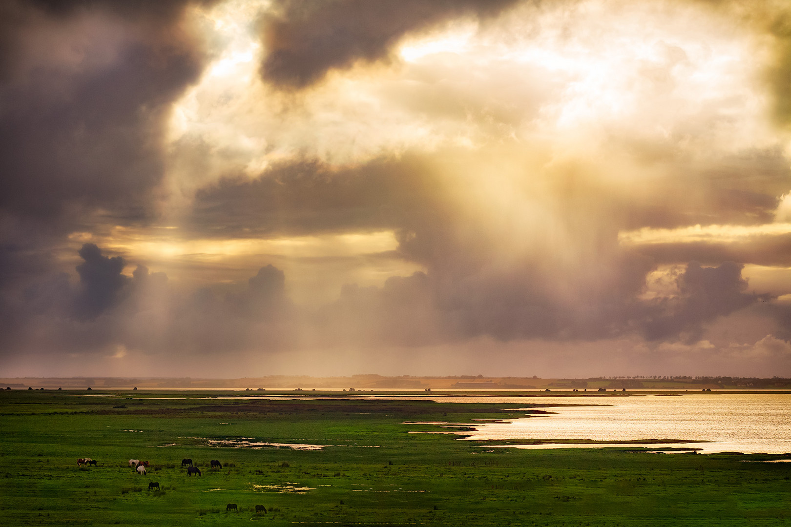 Sun after rainfall