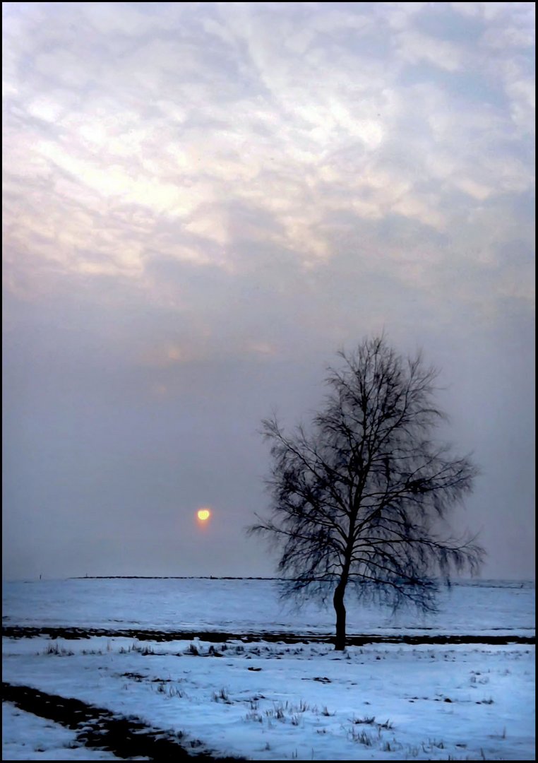 sun against snow